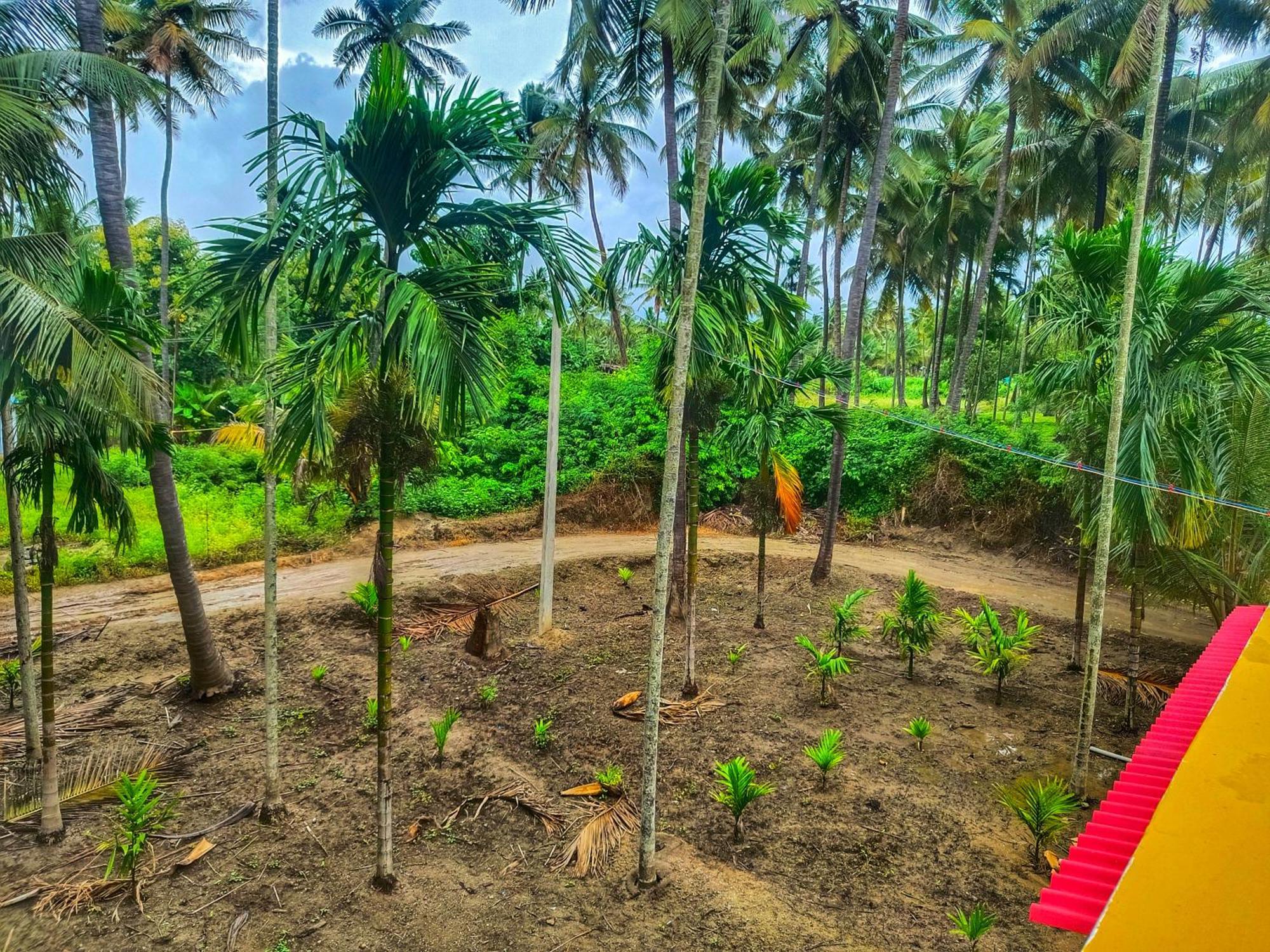 Shivalaya Farmstay Located Amdist Coconut Farm With River Access Near Isha,Adiyogi,Siruvani Alāndurai Exteriör bild