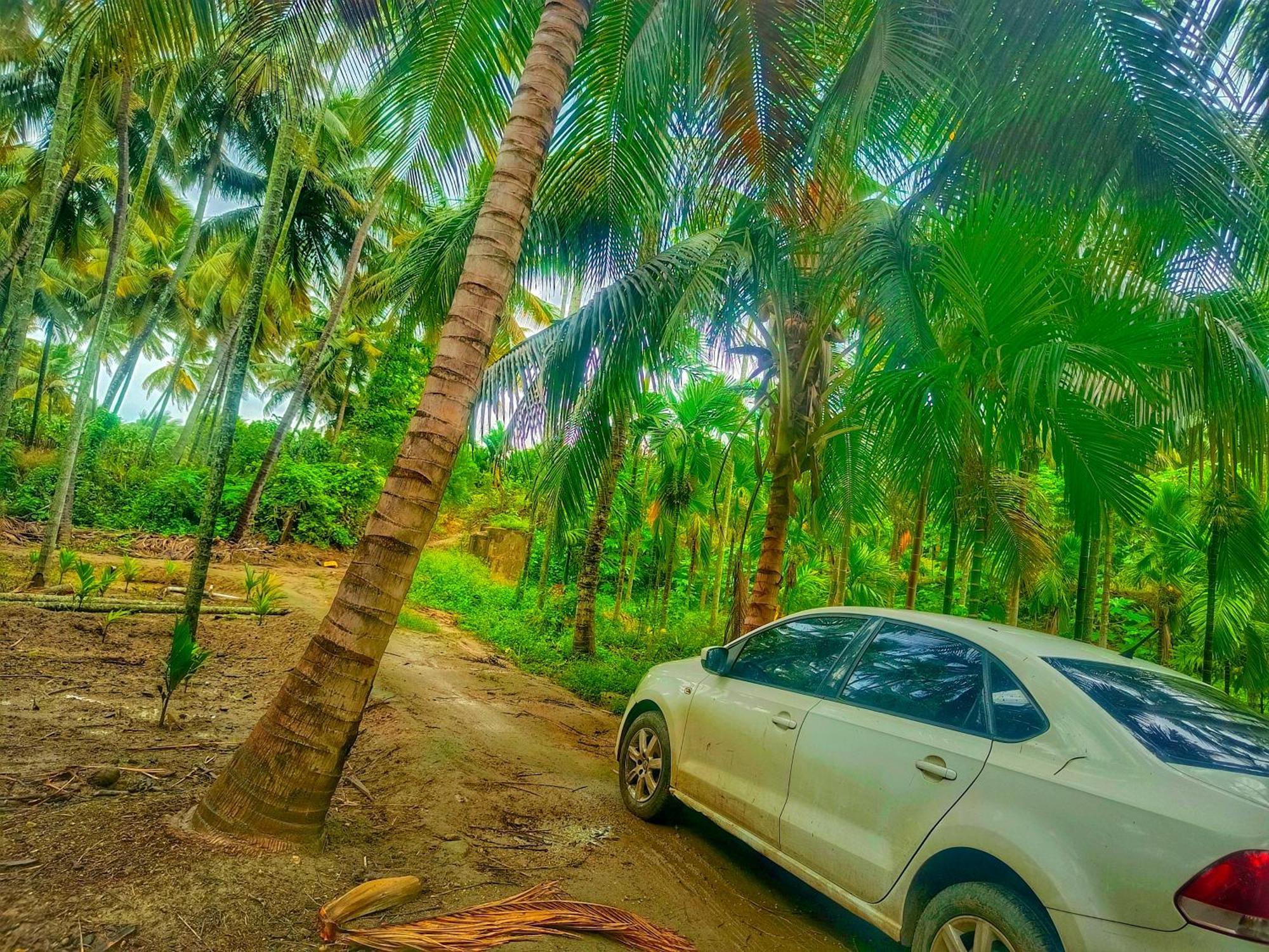 Shivalaya Farmstay Located Amdist Coconut Farm With River Access Near Isha,Adiyogi,Siruvani Alāndurai Exteriör bild